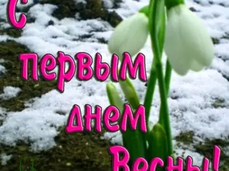 С днем весны. Открытка с пожеланием