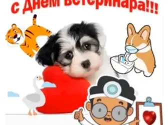 С днем ветеринарного врача. Поздравление на праздник