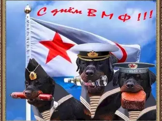 С днем ВМФ. Прикольная открытка