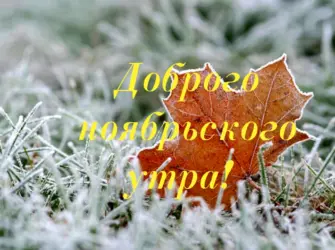 С до.рым ноябрьским утром. Открытка с пожеланием