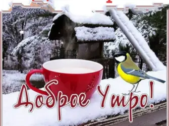 С добрым декабрьским утром гифки. Открытка с пожеланием