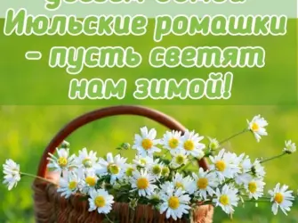 С добрым июльским утром. Открытка с пожеланием