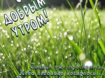 С добрым утром. Открытка с поздравлением