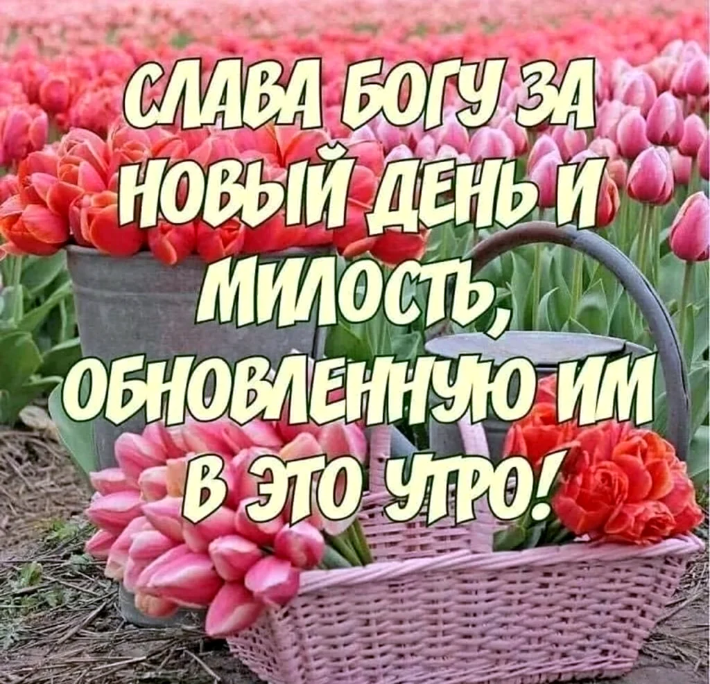С добрым утром Божьего благословения. Открытка с поздравлением
