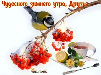 С добрым утром с синичками открытка