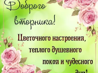 С добрым утром вторника. Открытка с пожеланием