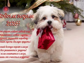 С новым годом. Открытка с поздравлением