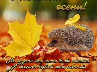 С первым днем осени. Открытка с пожеланием