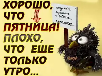 С пятницей прикольные. Прикольная открытка