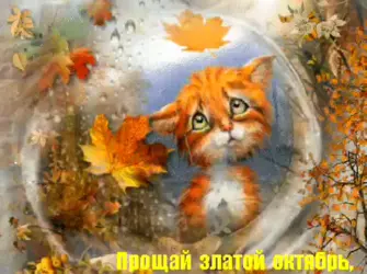 С последним днем октября. Открытка с пожеланием