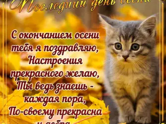 С последним днем осени открытка