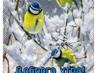 Синички зимой. Открытка с пожеланием