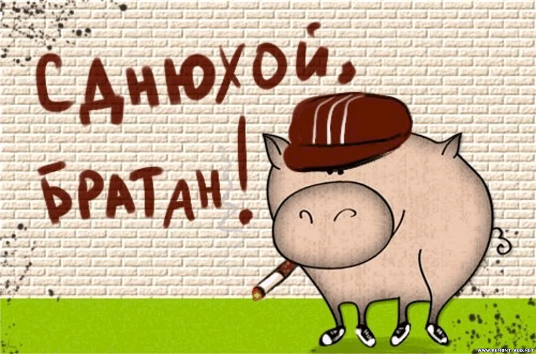 Смешные поздравления с днем рождения. Открытка с поздравлением