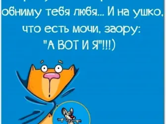 Смешные пожелания спокойной ночи. Открытка с пожеланием