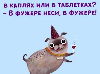 Смешные цитаты. Прикольная открытка