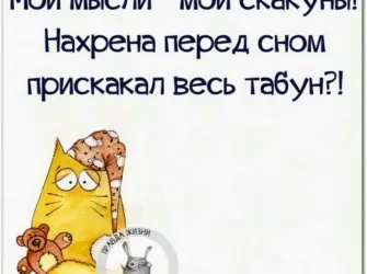 Смешные цитаты открытка