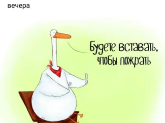 Смешные цитаты про мотивацию открытка