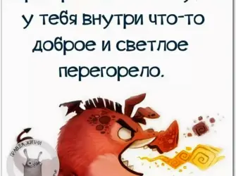 Смешные высказывания о жизни открытка