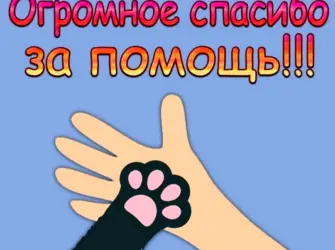 Спасибо за помощь открытка