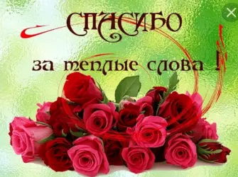 Спасибо за поздравления открытка