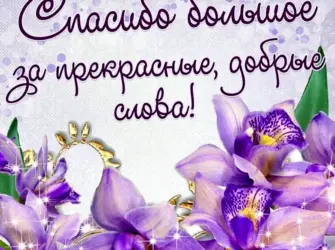 Спасибо за поздравления. Открытка с поздравлением