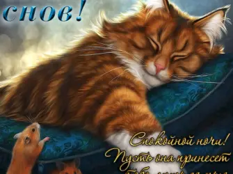 Спокойной ночи открытка