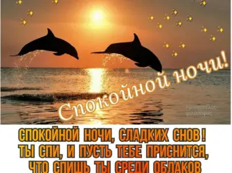 Спокойной ночи с дельфинами открытка