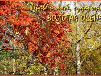 Суббота осень открытка