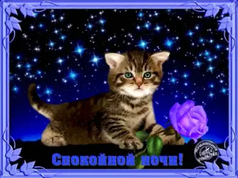 Сверкающие спокойной ночи открытка