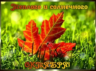Теплого осеннего дня. Открытка с поздравлением