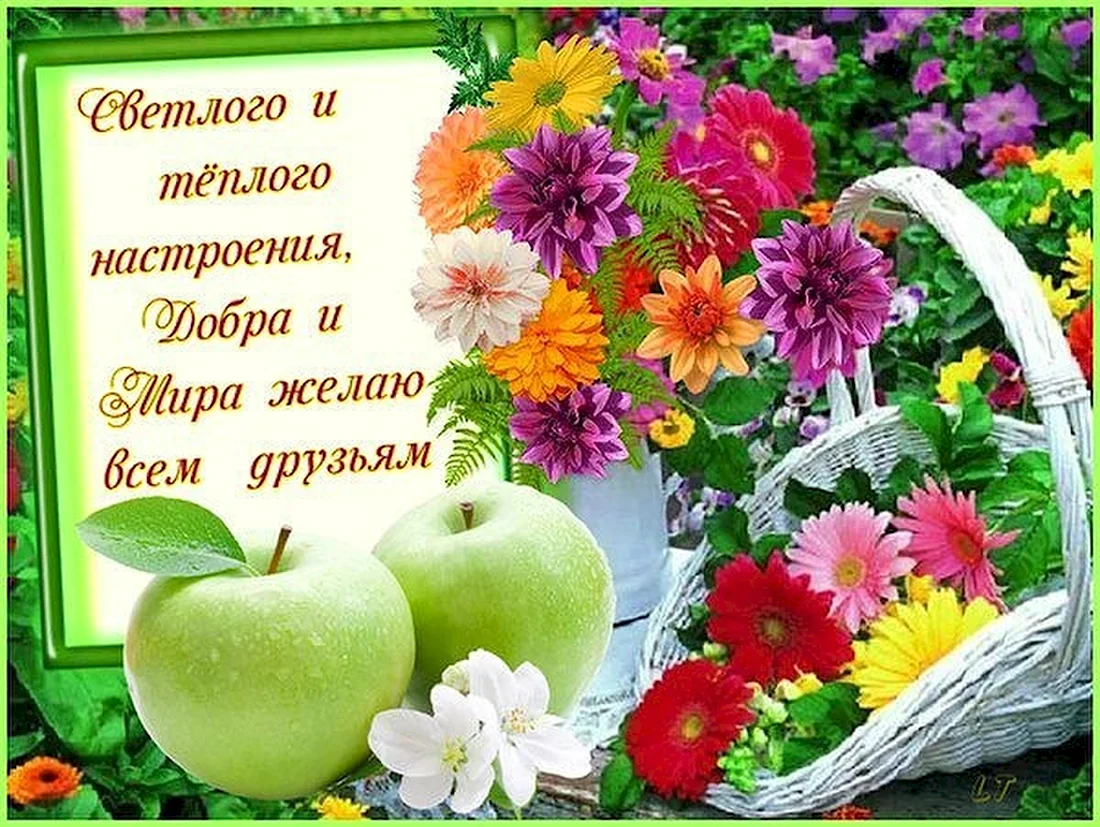 Теплые летние пожелания. Открытка с поздравлением