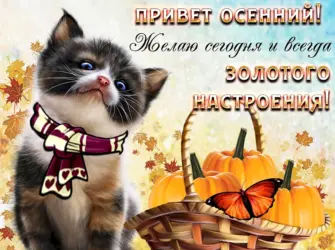 Теплые пожелания открытка