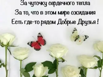 Цитаты про день рождения. Открытка с пожеланием