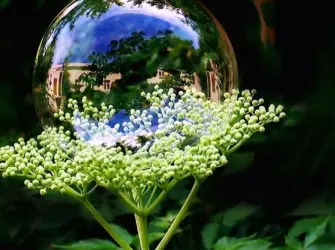Удачного дня природа. Открытка с пожеланием