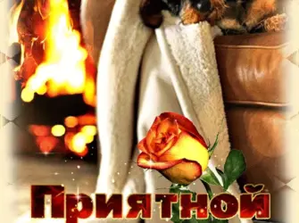 Уютного вечера и сладких снов открытка