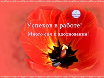 Успехов в работе. Открытка с поздравлением