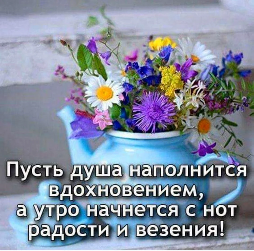 Утренние цветы с пожеланиями. Открытка с поздравлением