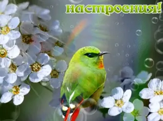 Весеннего настроения и хорошего дня. Открытка с пожеланием