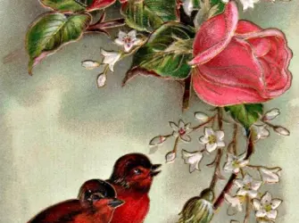 Винтажные птицы. Поздравление на праздник