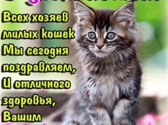Всемирный день кошек. Открытка с поздравлением