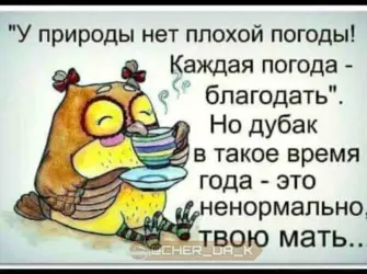 Высказывания про погоду прикольные. Прикольная открытка