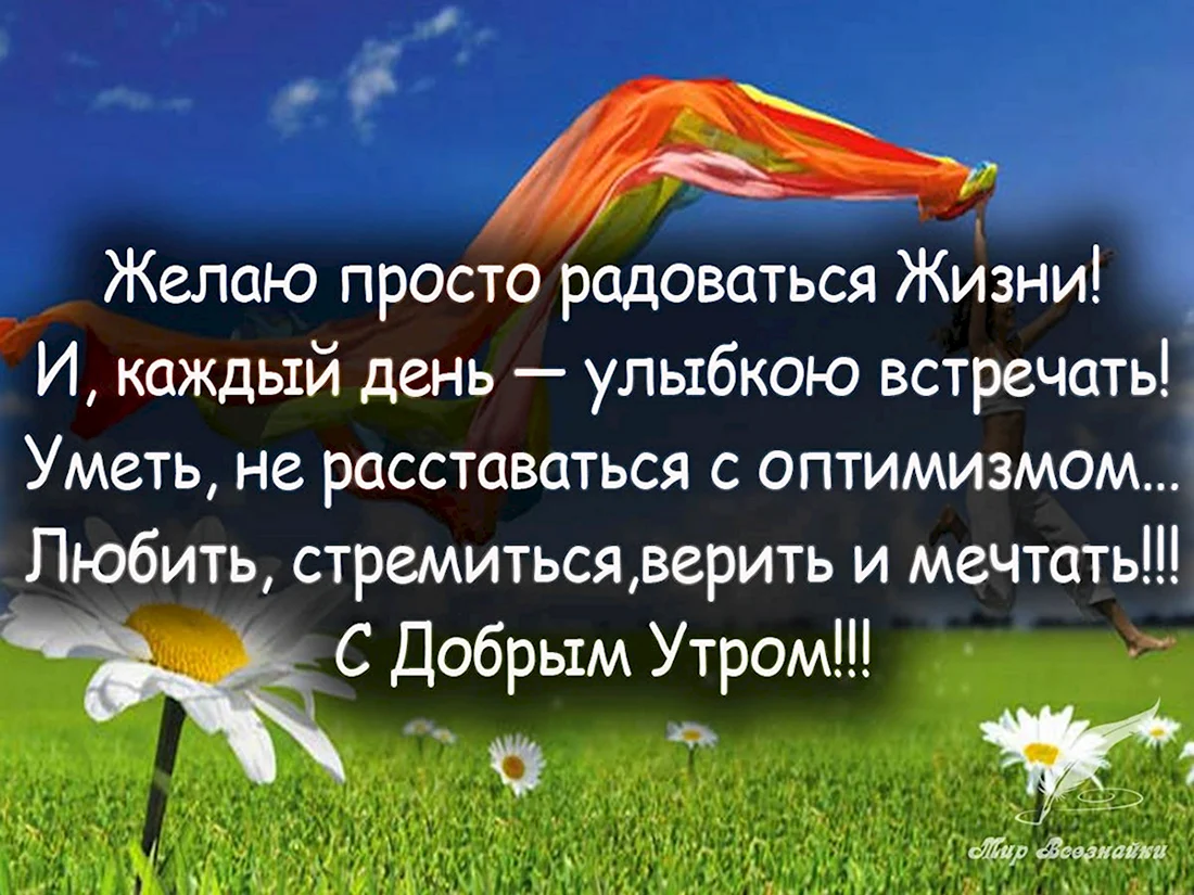 Жить и радоваться жизни цитаты. Открытка с поздравлением